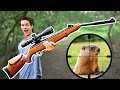 Hunting with worlds most powerful break barrel air rifle