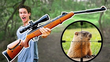 Hunting with World’s Most Powerful Break Barrel Air Rifle!