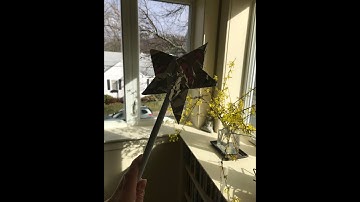 Quarantine request corner - Ships are Sailing [Reel]