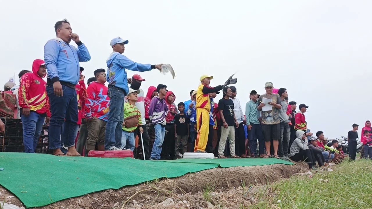 Lomba merpati balap medan SLEKDAMEDAN BABAK PERTAMA