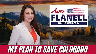 Answering the Call: Serving Colorado as a State House Representative Wealth
