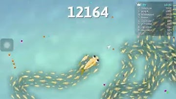 Snake.io - Fun Addicting Online Arcade .io Games