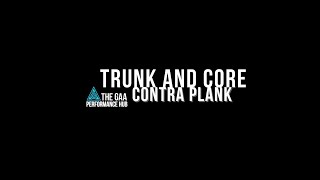 Contralateral Plank