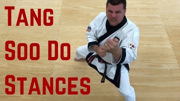 How to do Tang Soo Do Stances