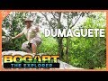 Bogart The Explorer: DUMAGUETE