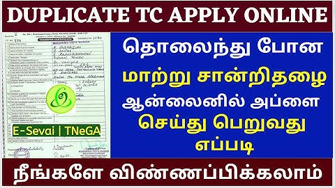 how to get duplicate tc online in tamil | school tc apply online in tamil |how to apply duplicate tc