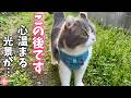 永眠した娘がもう一度会いに来てくれたような気がして…