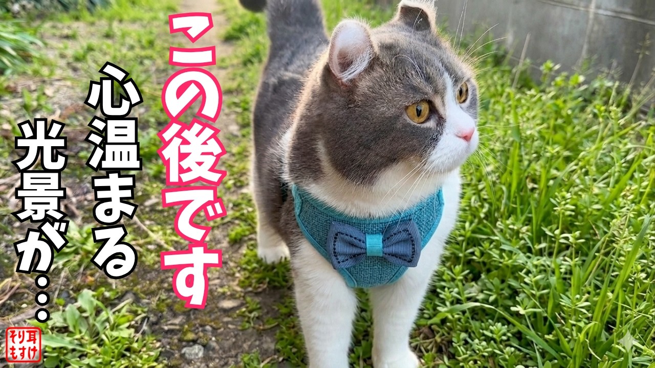 永眠した娘がもう一度会いに来てくれたような気がして…