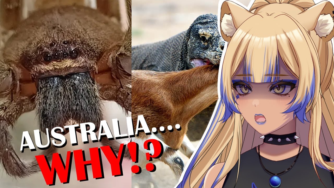 АВСТРАЛИЯ ПУГАЕТ МЕНЯ | Ещё одна реакция Парза