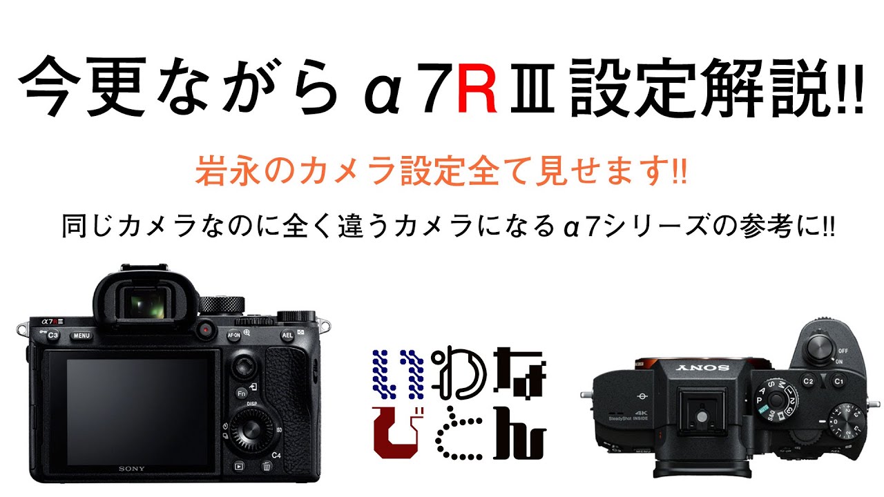 機材関係】今更ですがα7RⅢの設定を全部公開します。参考にしてみて 