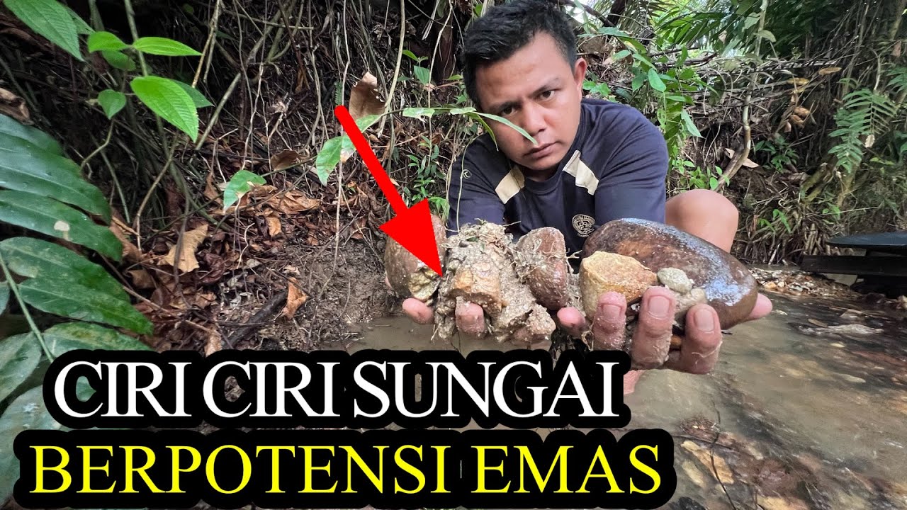 CIRI CIRI SUNGAI BERPOTENSI EMAS,TAMBANG EMAS TRADISIONAL SUPER KAYA,Using A Sluice Box To Find Gold