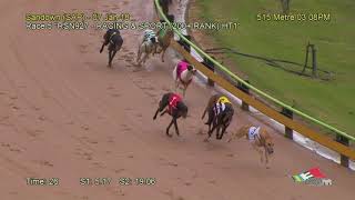 SAP SUN 07 JAN 18 R5