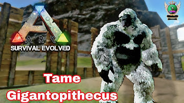 Tame Gigantopithecus Ark Survival Evolved Mobile