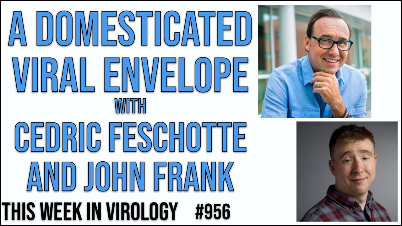 TWiV 956: A domesticated viral envelope with Cedric Feschotte and John Anthony Frank