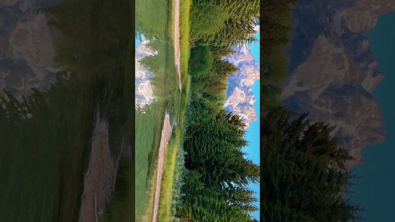 Reflections in the Grand Teton National park 😍 