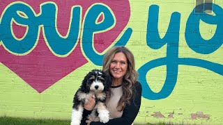 How to Groom Your Mini Bernedoodle | Brushing Tips & Cowboy Magic Detangle