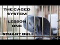 Caged System lesson 1 The "C" Shape.