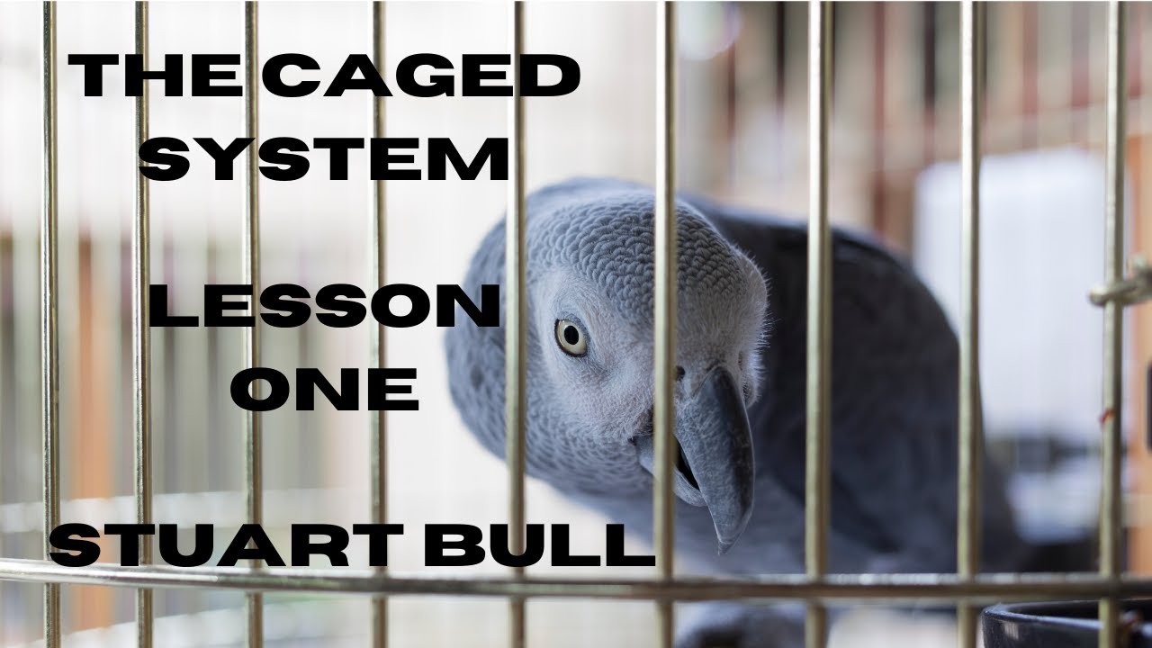 Caged System lesson 1 The "C" Shape.