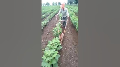 intercultural operations in Agriculture field