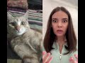 #cat #funny #comedy #animals #cats #ecologicalbalance #comedyfilms #sustainablesolutions #cute
