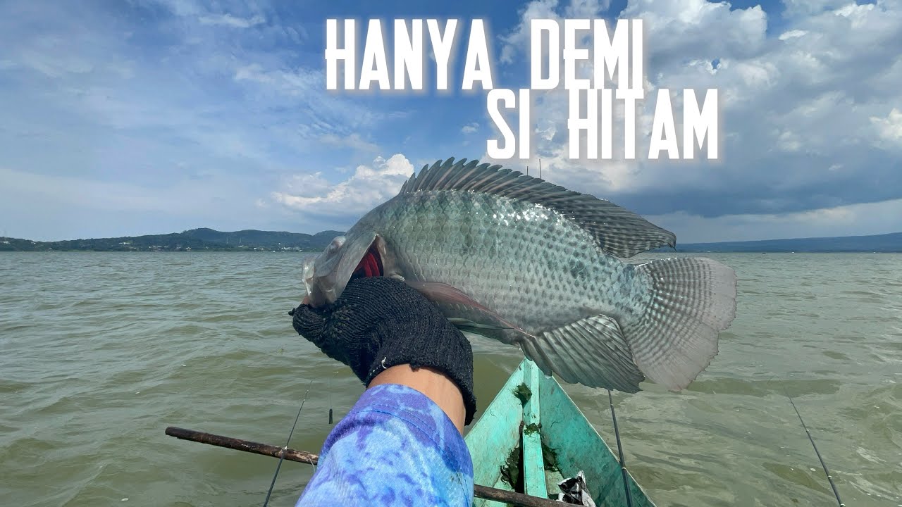 Memang Pemancing Gila ❗️ 