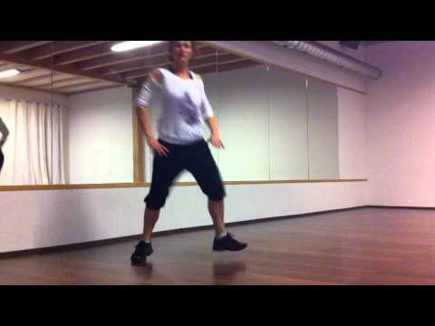 Zumba Basic Steps by Birgit Mayer