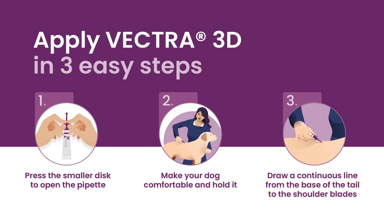 VECTRA 3D - Application video