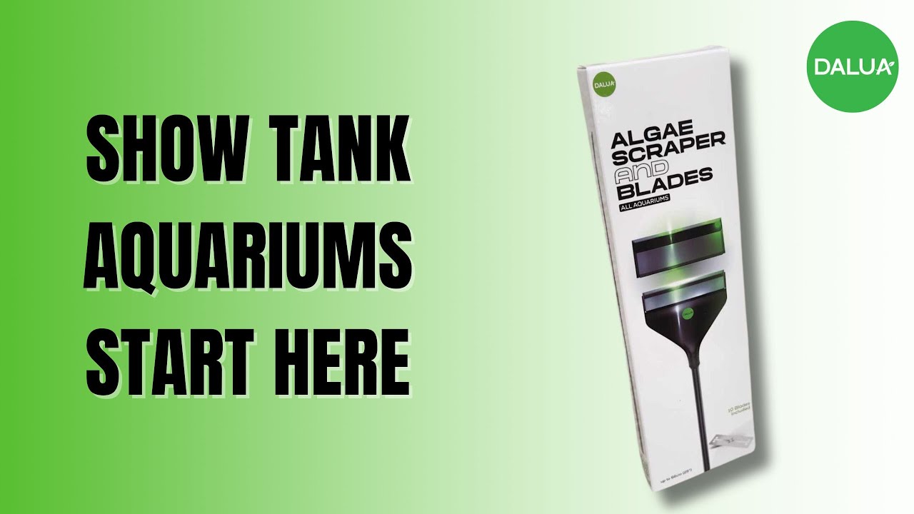 Dalua Algae Scraper | Cool Features