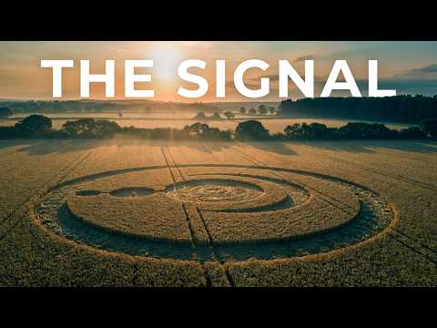 Thoulston CROP CIRCLE near Cley Hill 4k 31.7.2019