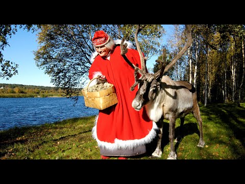 Video: Lapin ääni Vangitsee Suomen Koskemattoman Kauneuden Miksauksella