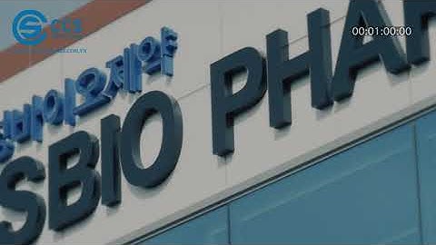 Quy trình sản xuất tinh dầu thông đỏ của Hàn Quốc