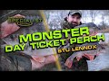 MONSTER Day Ticket Perch | Stu Lennox | Specialist