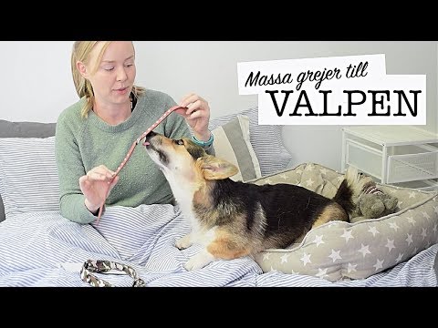Video: 10 Tips För De Första 30 Dagarna Efter Att Ha Antagit En Hund