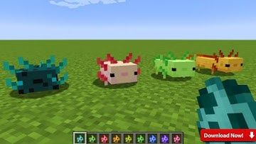 More Axolotl Addon For Minecraft PE