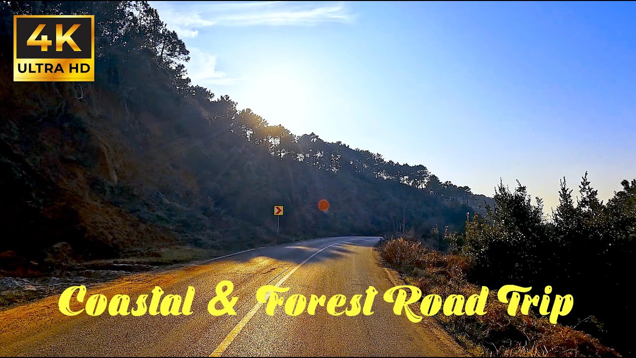 🌞 Scenic Sunday Drive in Istanbul | Coastal & Forest Road Trip 🚗🌊🌳