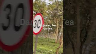 Download Lagu #teagarden MP3