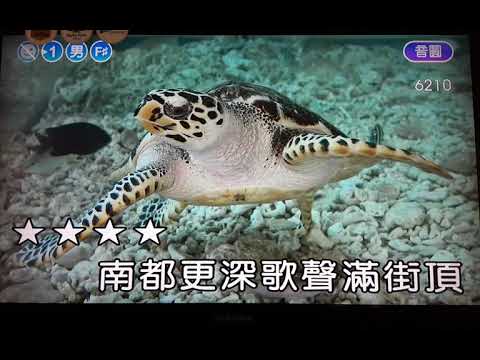 都のヤレナデ/南都夜曲