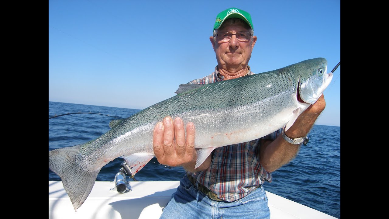 Kinn's sport fishing Outlet