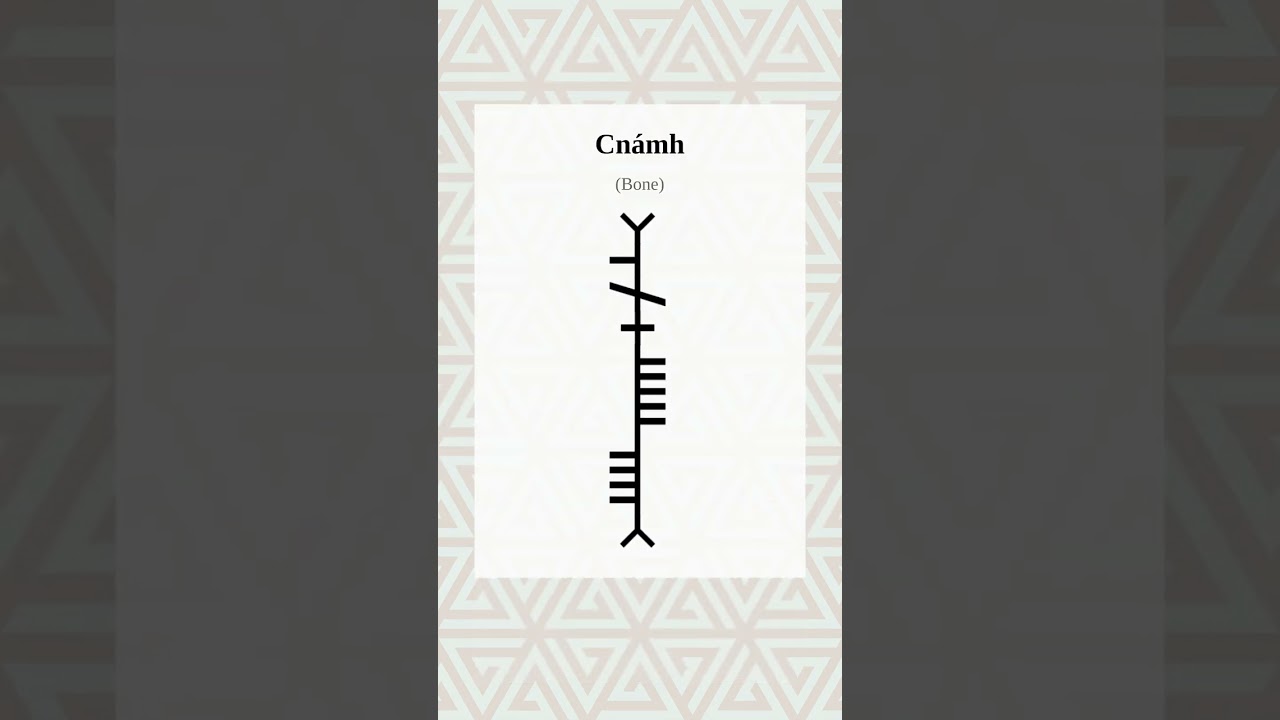 Ogham Word Of the Day cnámh-bone