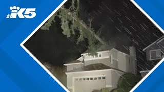 Half a million people without power, fallen trees blocking roads around western Washington