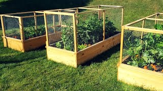 Enclosed Raised Garden Beds  DIY Gardening Project