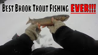 Best Brook Trout Ice Fishing in British Columbia!