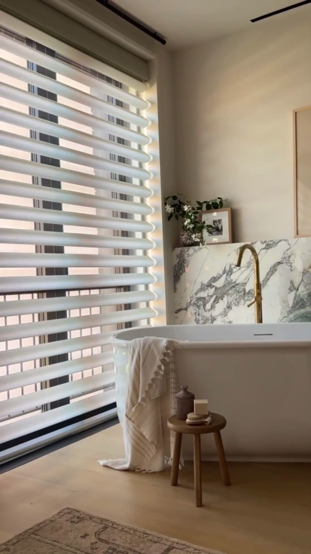 Hunter Douglas Pirouette window shadings