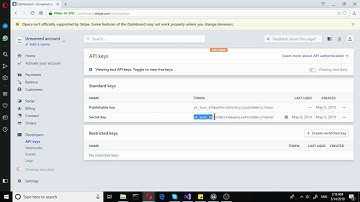 Integrate Stripe payments in .net core wpf