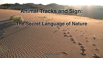 Intro to Animal Track Identification