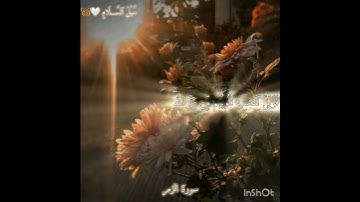 أفمن شرح الله صدره للإسلام.. سورة الزمر 🤍🦋