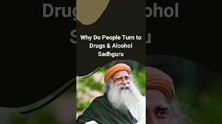 Celebrity Why Do People Turn to Drugs & Alcohol? #sadhguru Net Worth