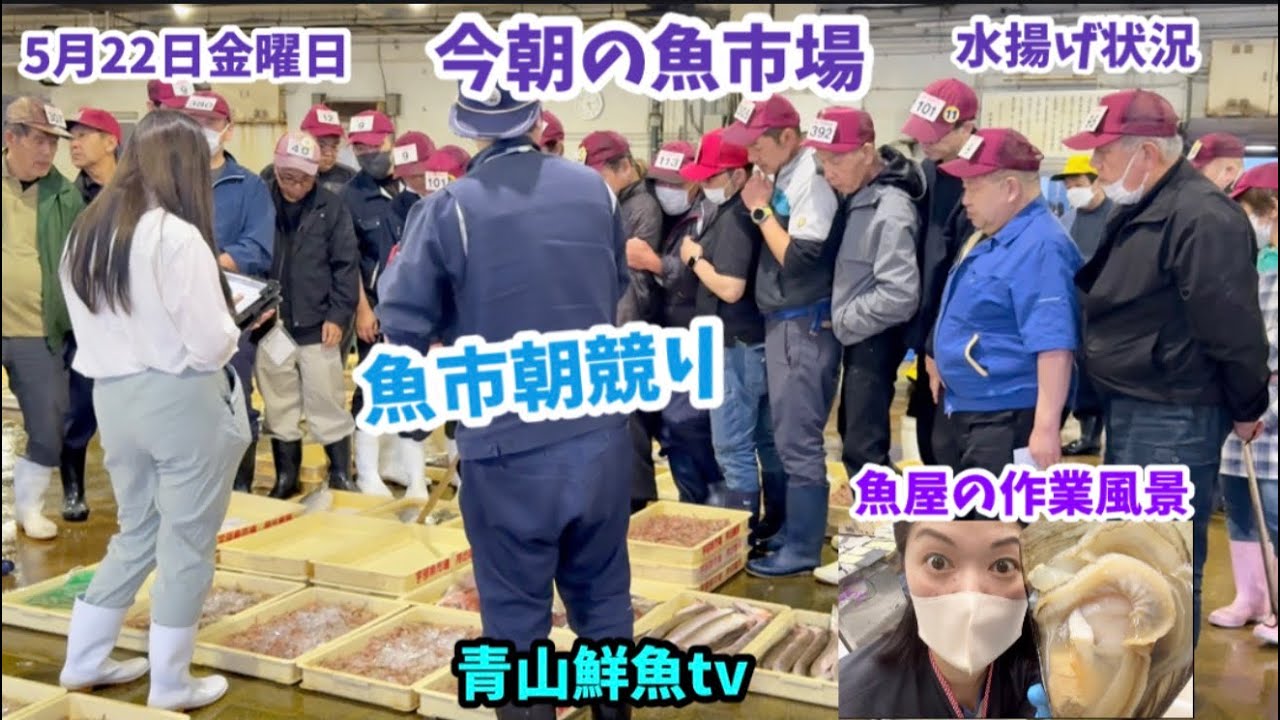 【まあまあ】今朝の魚市場5月22日金曜日の水揚げ状況