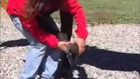 Easyboot Bare Removal