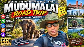 EPIC Road Trip! We Drove Through WILD ELEPHANT Country! 🐘 | Chennai to Ooty Road Trip 🇮🇳